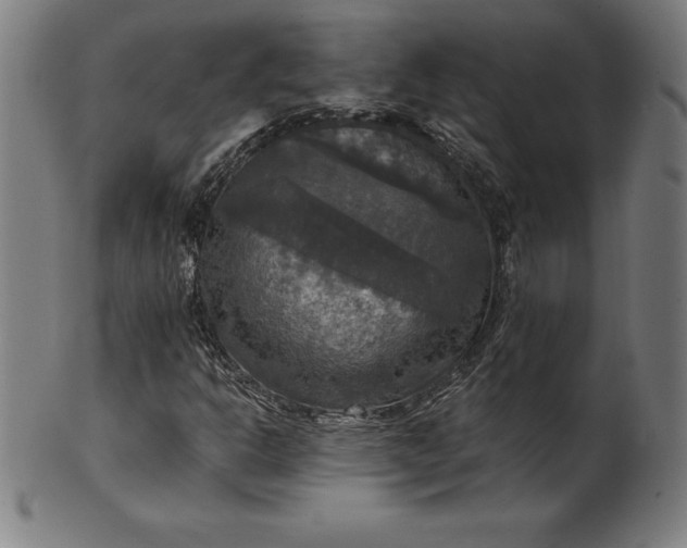 X0000099951302200806061533