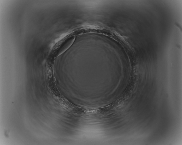 X0000099951303200806061533