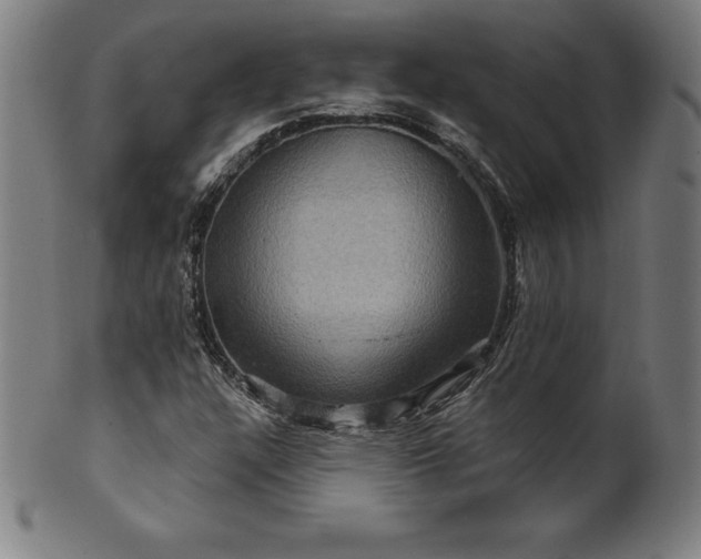 X0000099951304200806061533