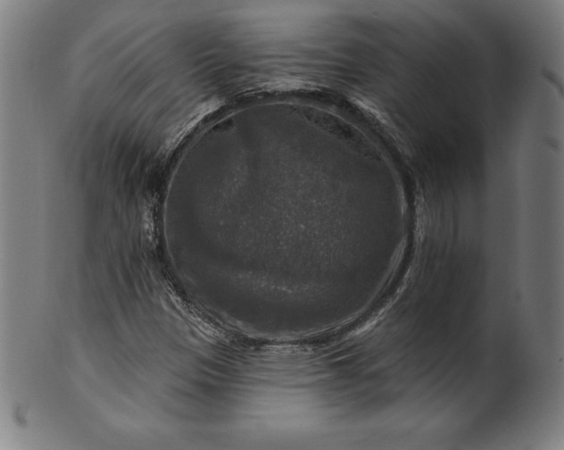 X0000099951305200806061533