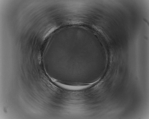 X0000099951306200806061533