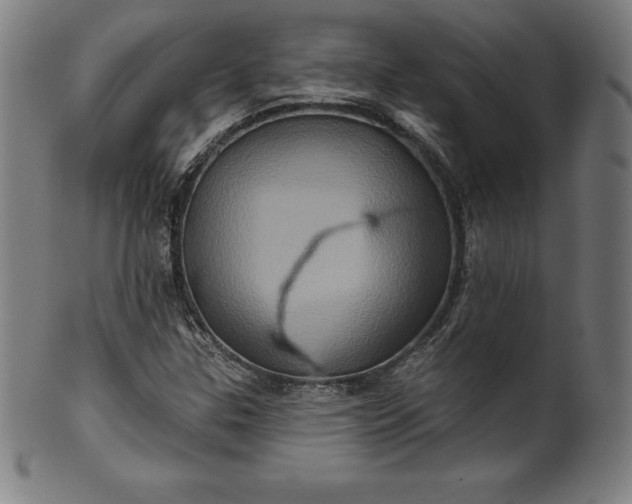 X0000099951307200806061533