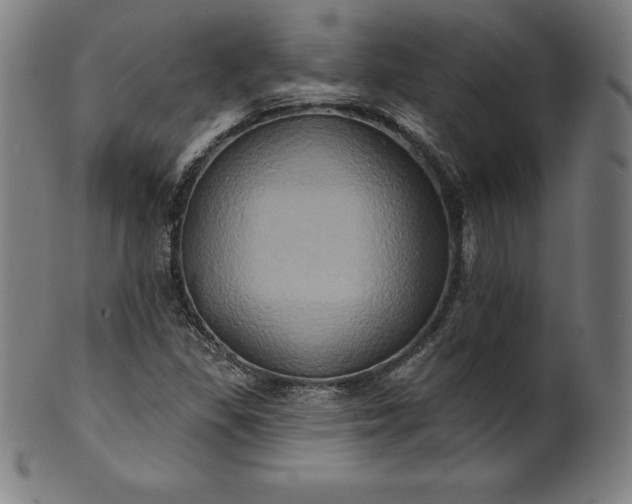 X0000099951309200806061533