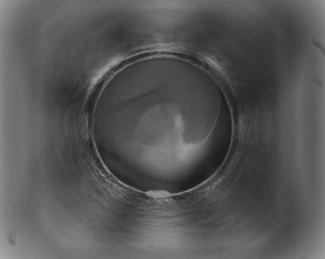 X0000099951310200806061533