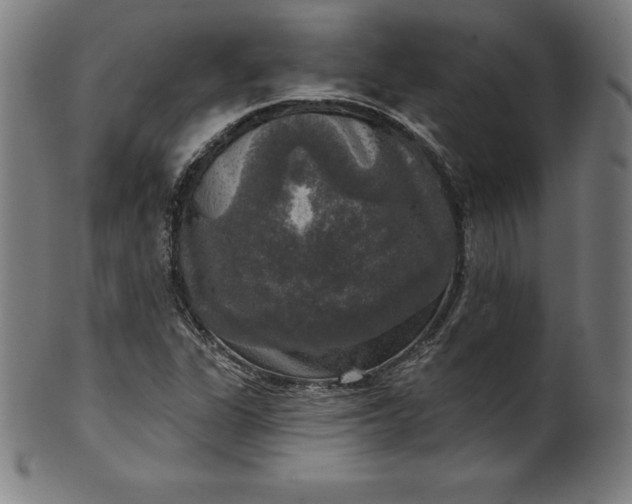 X0000099951311200806061533