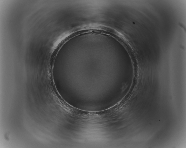 X0000099951312200806061533