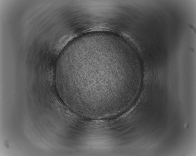 X0000099951313200806061533