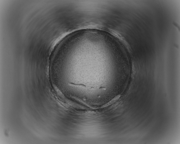 X0000099951316200806061533