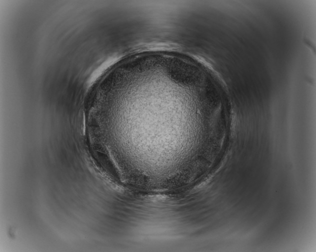 X0000099951317200806061533