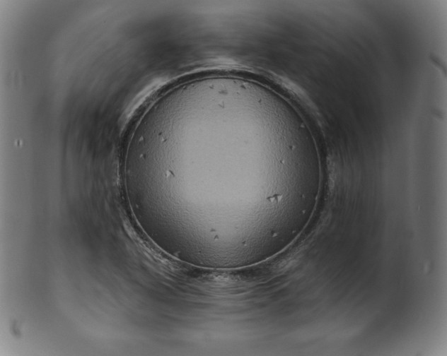 X0000099951318200806061533