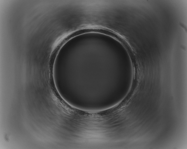 X0000099951319200806061533