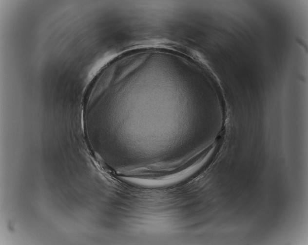 X0000099951320200806061533