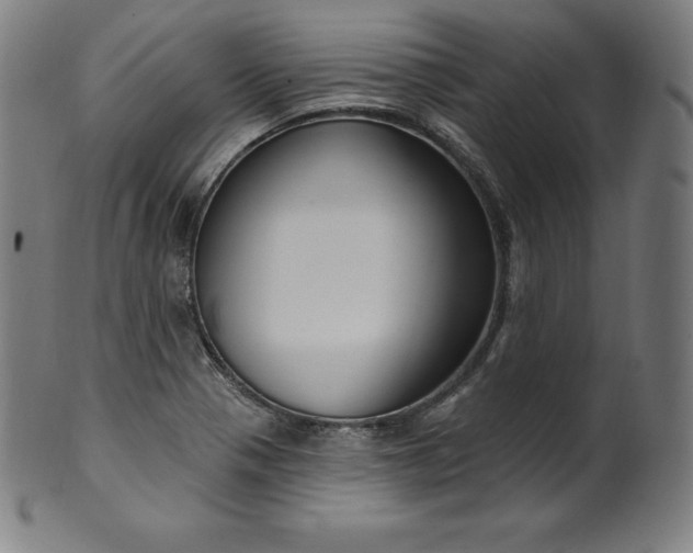 X0000099951321200806061533