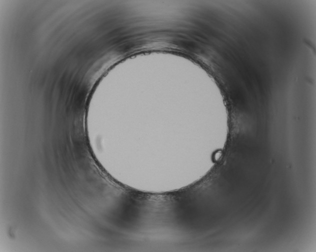 X0000099951322200806061533