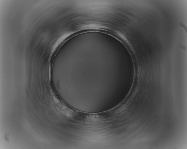 X0000099951323200806061533