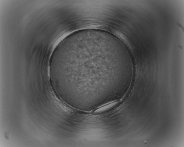 X0000099951324200806061533