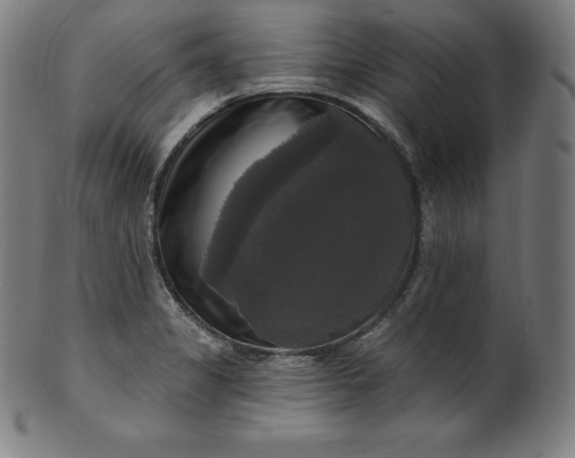 X0000099951325200806061533