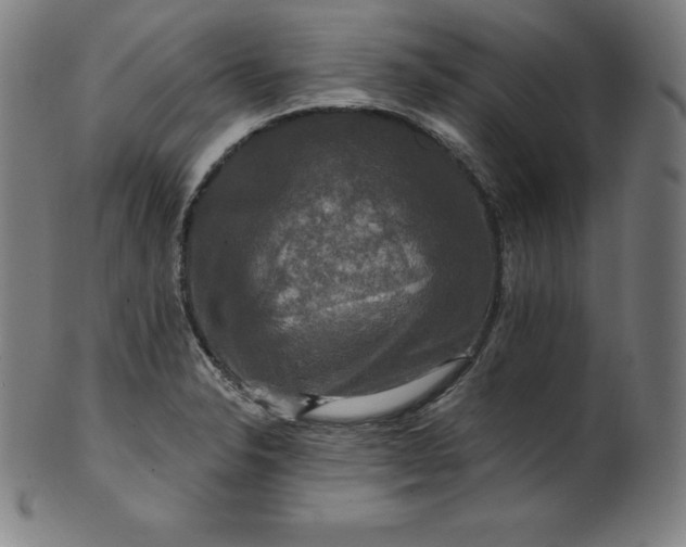 X0000099951326200806061533