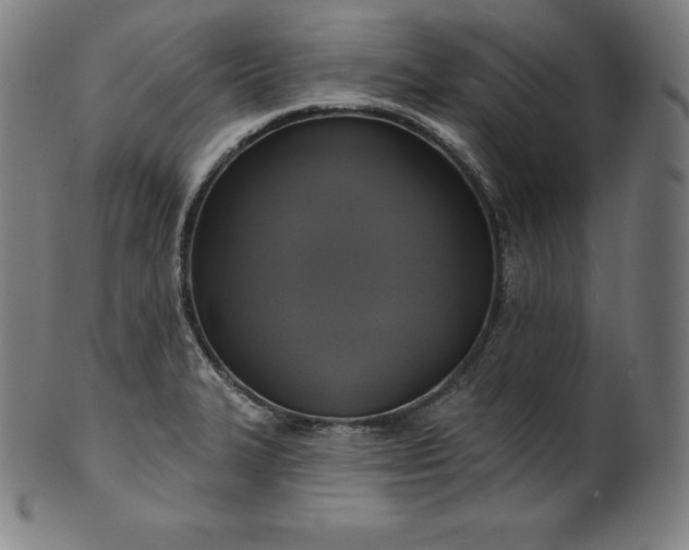 X0000099951327200806061533