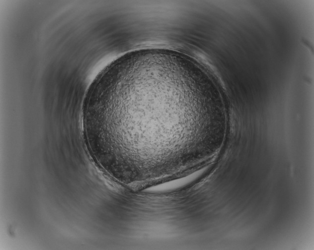 X0000099951328200806061533