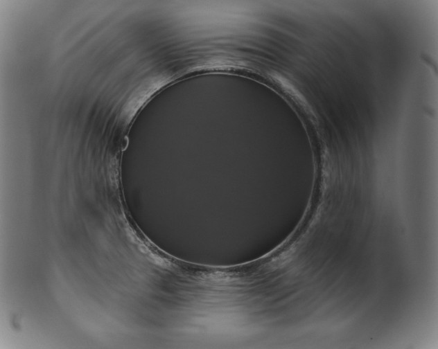 X0000099951329200806061533