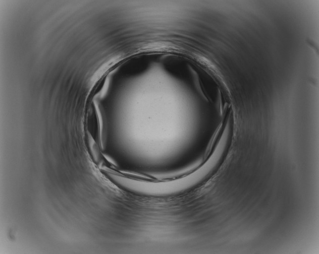 X0000099951330200806061533