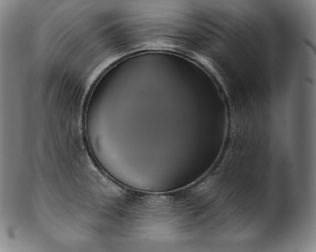 X0000099951331200806061533