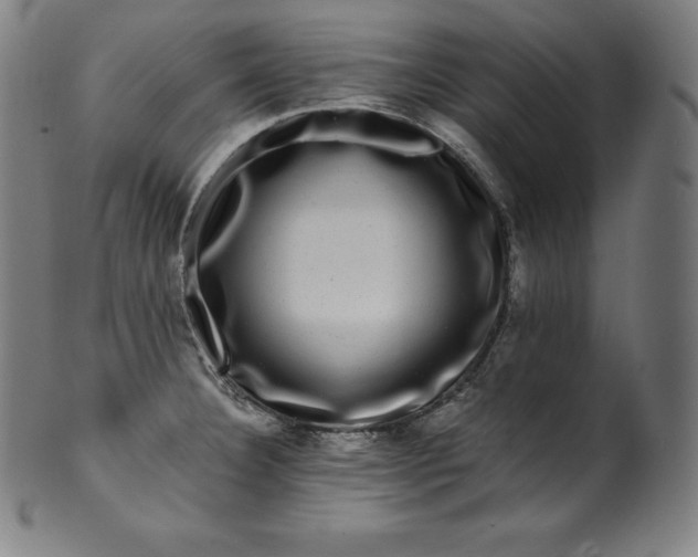 X0000099951332200806061533