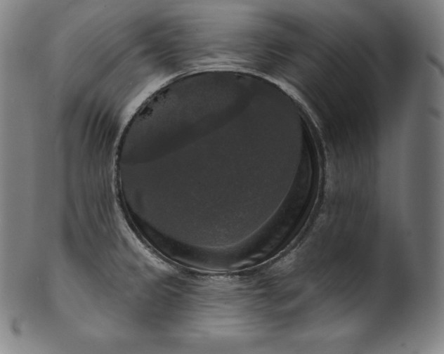 X0000099951333200806061533