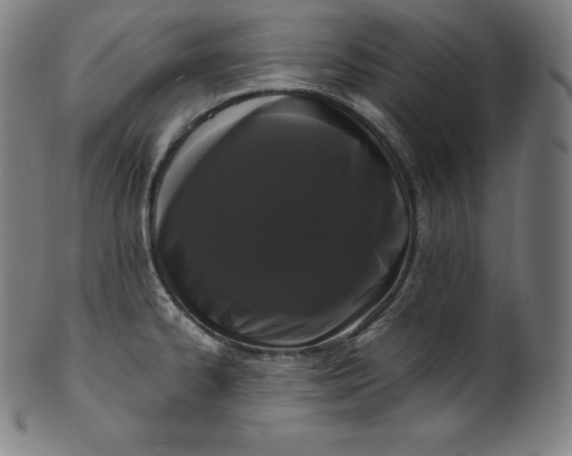 X0000099951334200806061533