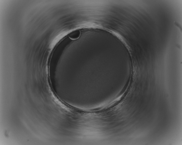 X0000099951335200806061533