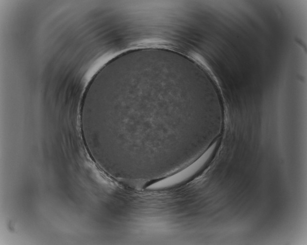 X0000099951336200806061533