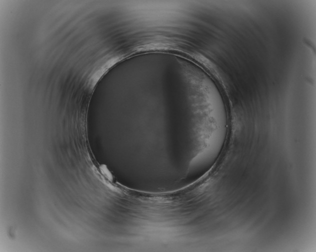 X0000099951337200806061533