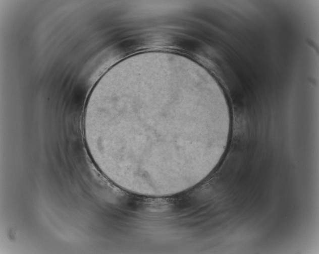 X0000099951338200806061533