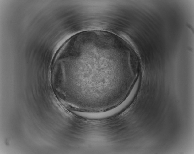 X0000099951340200806061533