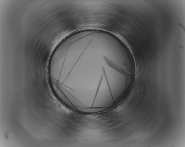 X0000099951341200806061533