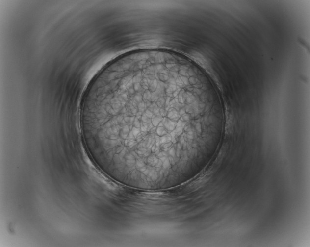 X0000099951342200806061533