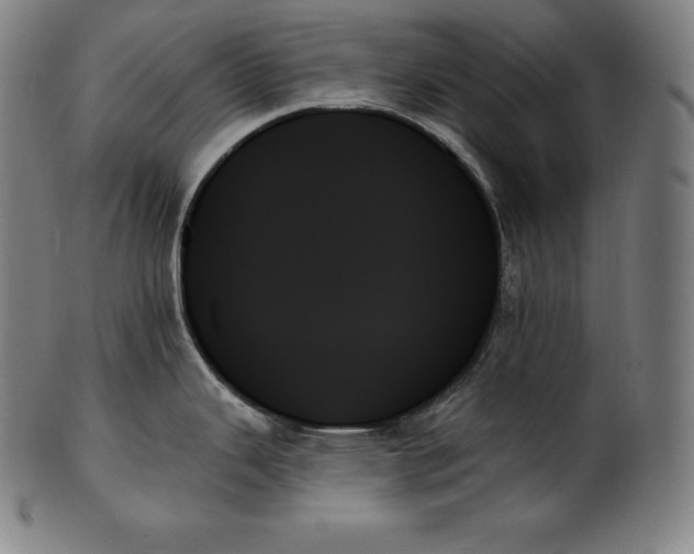 X0000099951343200806061533