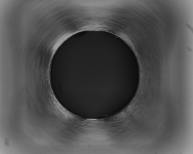 X0000099951344200806061533