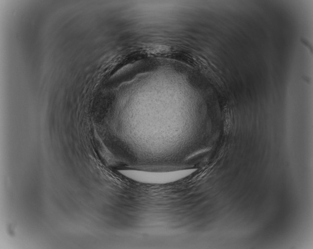 X0000099951345200806061533