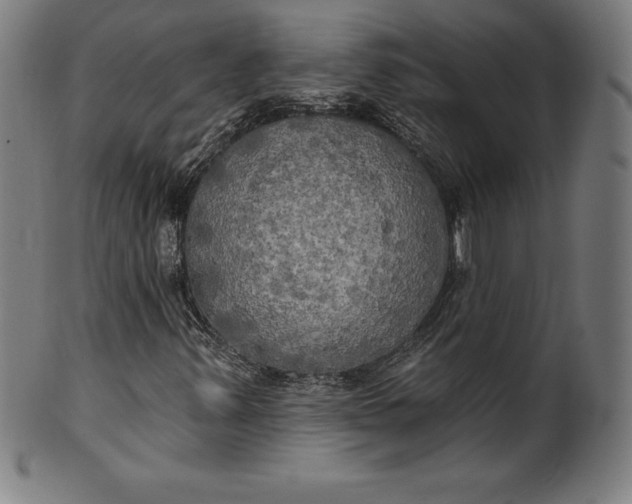 X0000099951347200806061533