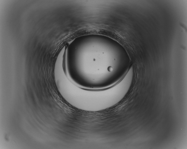 X0000099951348200806061533