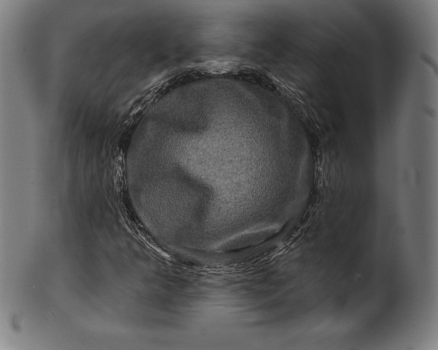 X0000099951349200806061533