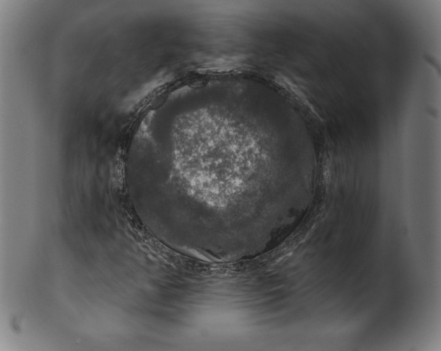 X0000099951350200806061533