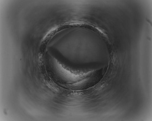 X0000099951351200806061533