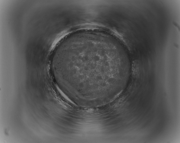 X0000099951352200806061533