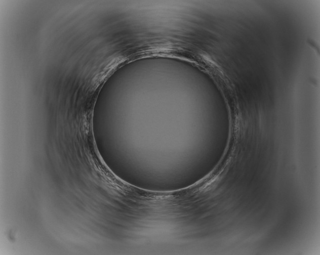 X0000099951353200806061533