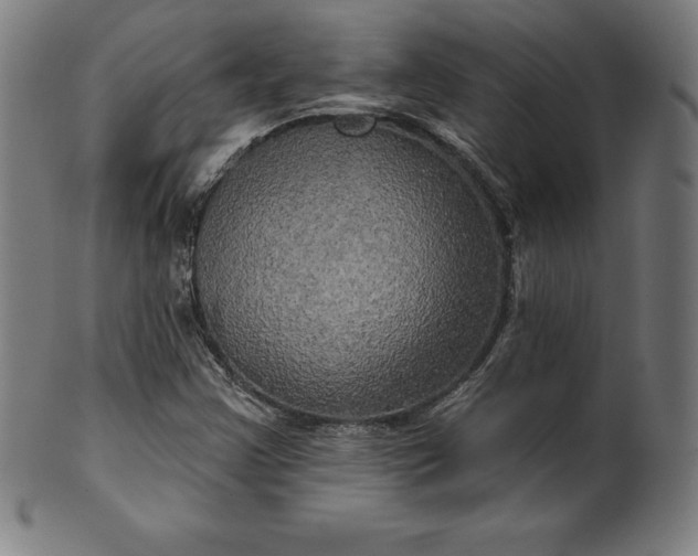 X0000099951355200806061533