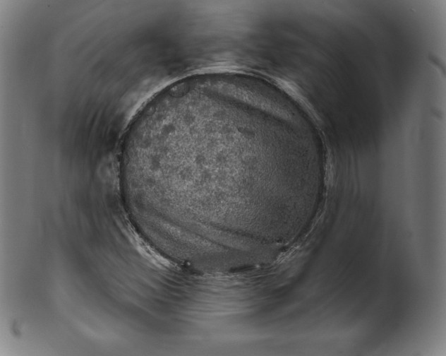 X0000099951356200806061533