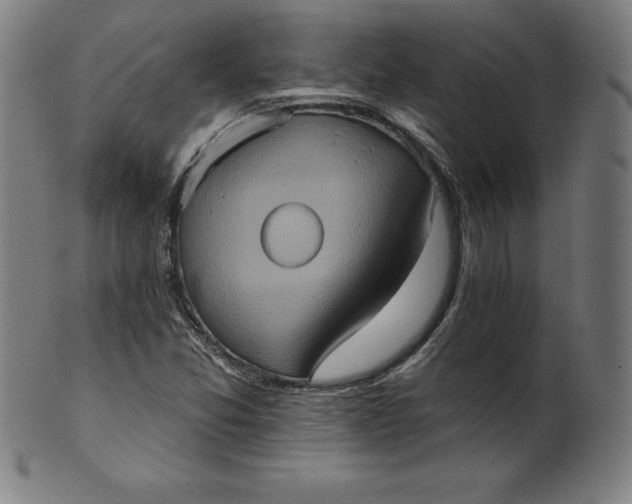 X0000099951357200806061533